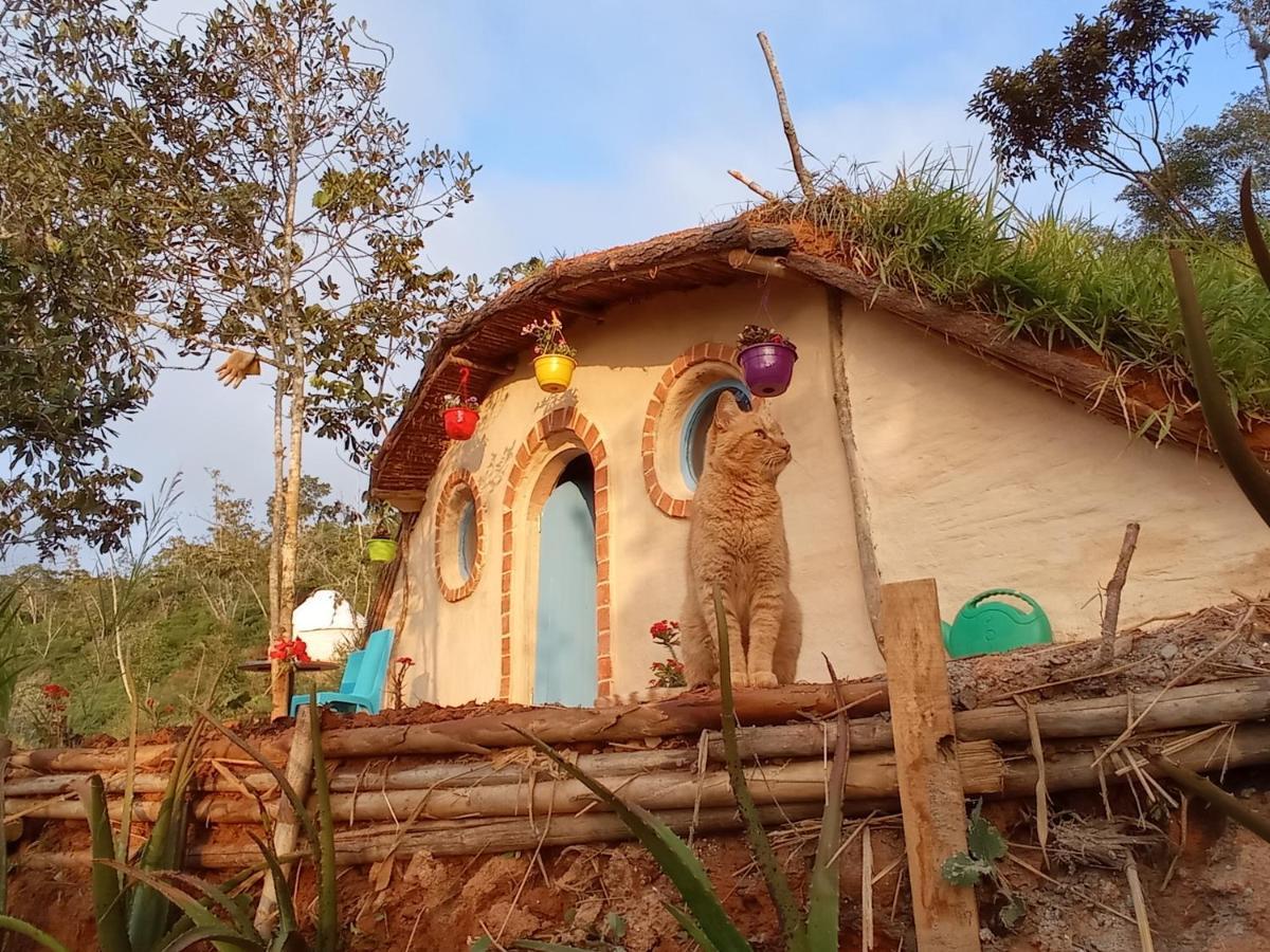 Hostal La Pacha