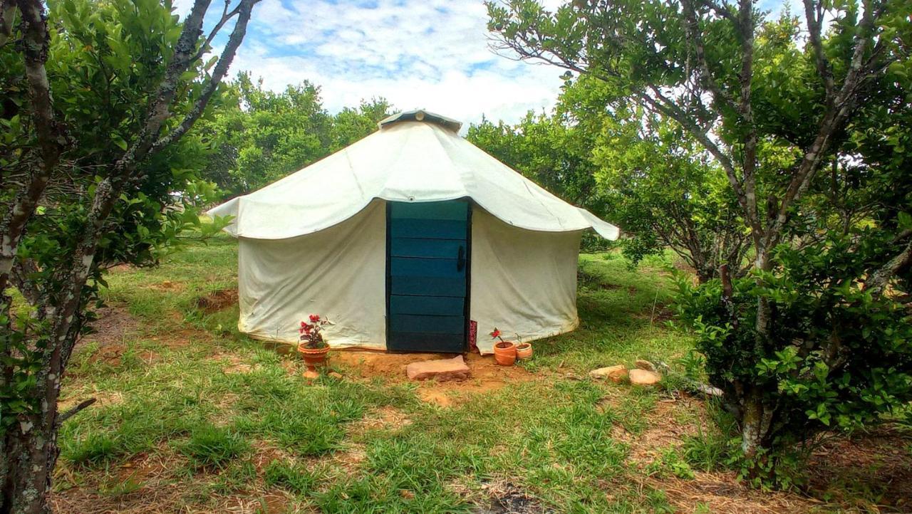 Hostal La Pacha