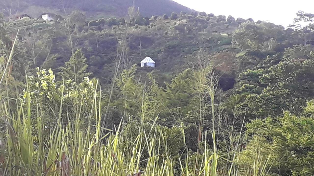 La Pacha