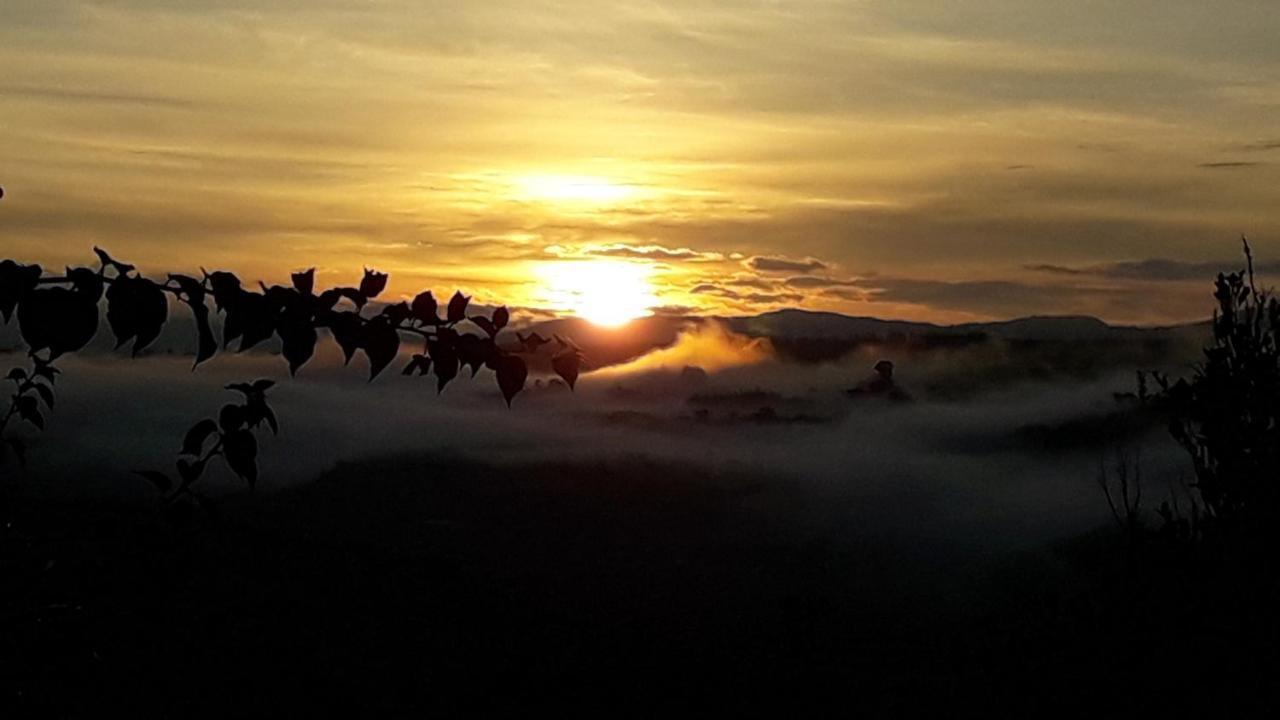 Hostel La Pacha Eco-finca Glamping